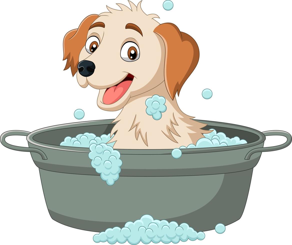 7270989-chien-de-dessin-anime-ayant-un-bain-vectoriel