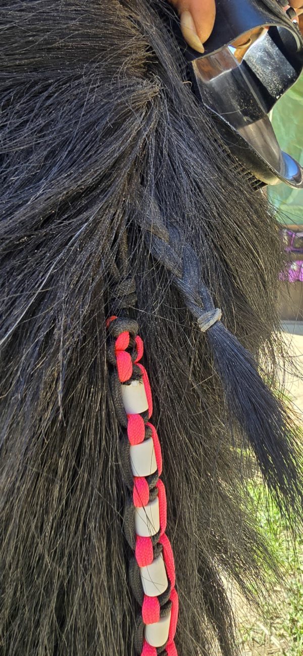 Accessoires pour chevaux – Image 2