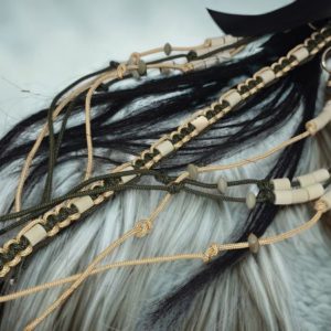Accessoires chevaux