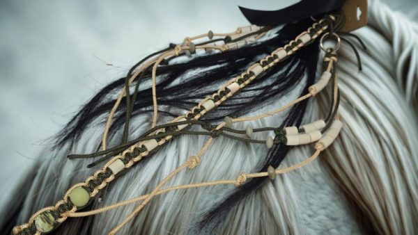 Accessoires chevaux