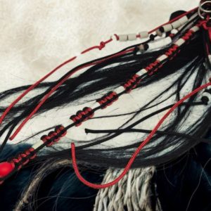 Accessoire pour chevaux
