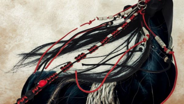 Accessoire pour chevaux