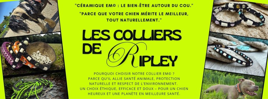 Les colliers de Ripley -Le collier qui aime votre chien autant que vous!