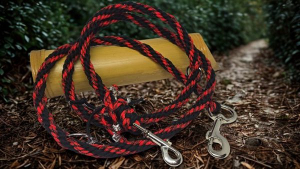 Laisse de 2m pour chien ou cheval