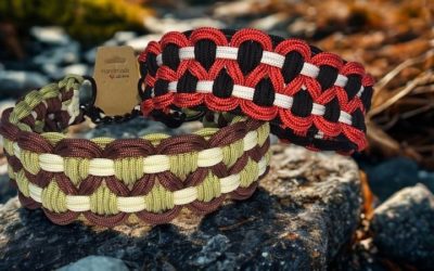 Collier martingale