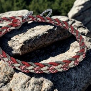 Collier semi étrangleur grand chien